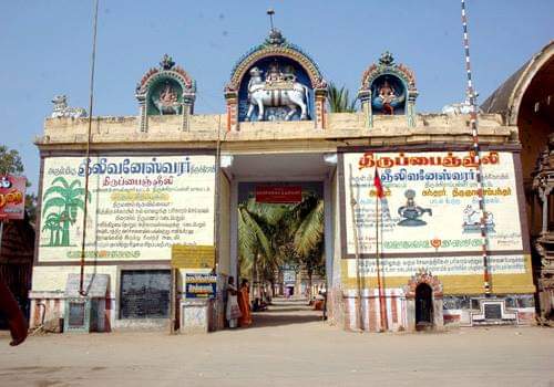 Sri Gneeliwaaneshwarar Temple in Tiruppainjeeli -TTD Seva