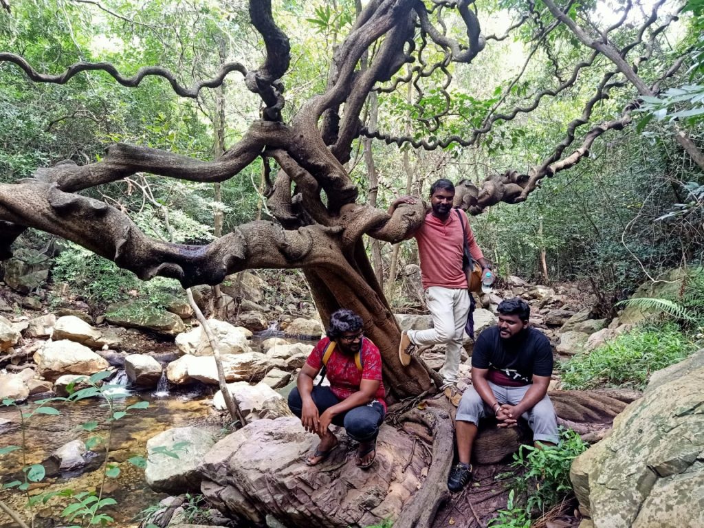 Adventure Awaits Nagalapuram Falls Trekking