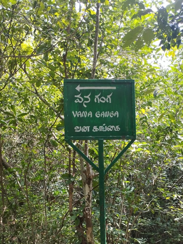 Vana Ganga - Nagalapuram Aare Falls